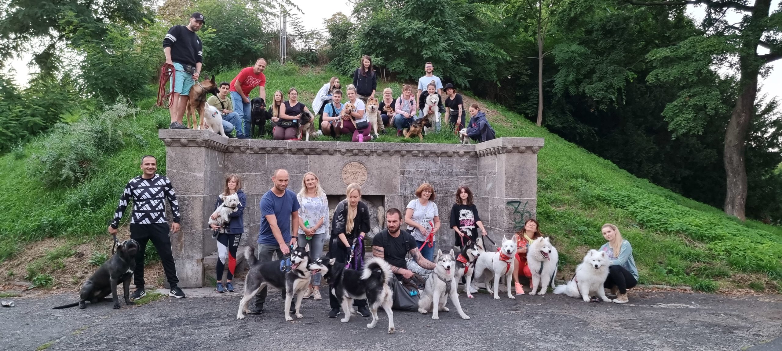 Psie socjalizacje – skąd we Wrocławiu spacery behawioralne?   …